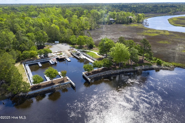 birds eye view of property featuring a water view and a view of trees