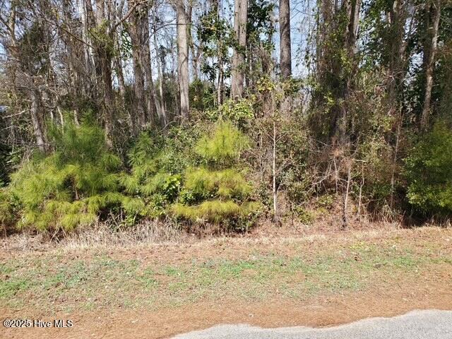 Listing photo 2 for 652 Gervais St SE, Bolivia NC 28422