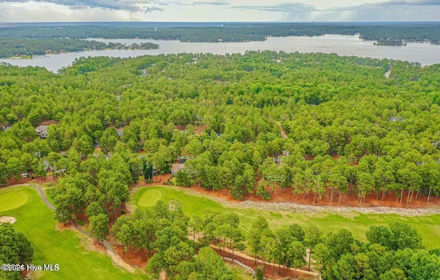 drone / aerial view with a wooded view and a water view