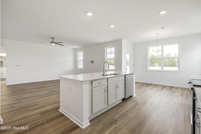 kitchen with an island with sink, a sink, stainless steel dishwasher, open floor plan, and wood finished floors