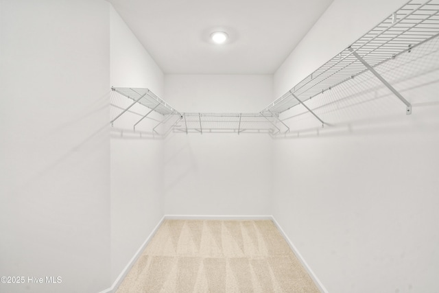 walk in closet featuring light colored carpet