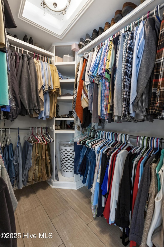 spacious closet featuring a raised ceiling