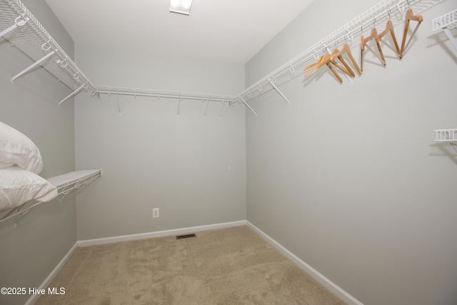 walk in closet featuring visible vents and light carpet