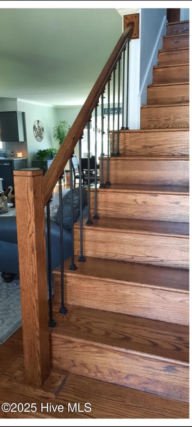 staircase featuring wood finished floors