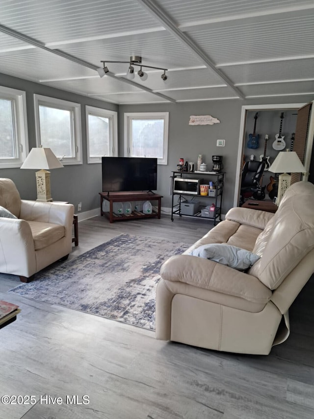 living room featuring a healthy amount of sunlight, baseboards, and wood finished floors