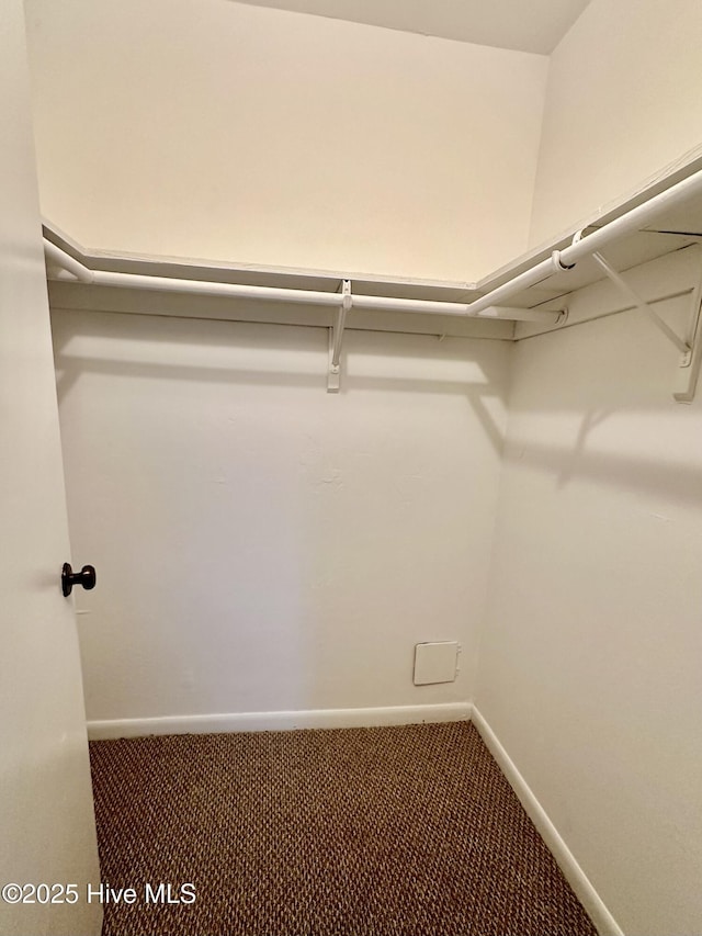 walk in closet featuring carpet