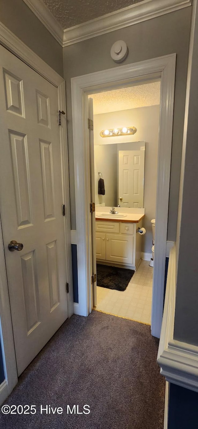 bathroom with vanity, toilet, carpet floors, and ornamental molding