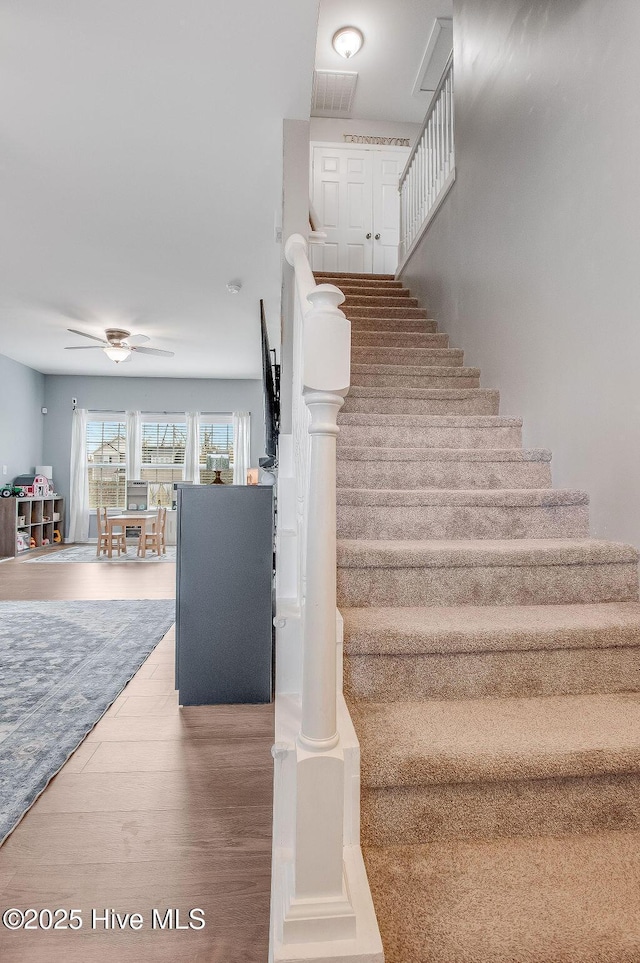 staircase with visible vents, ceiling fan, and wood finished floors