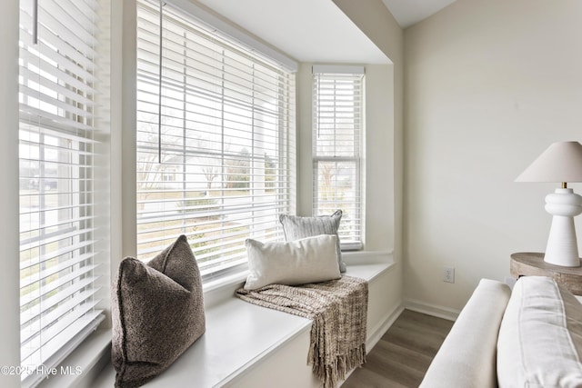 sitting room with baseboards and wood finished floors