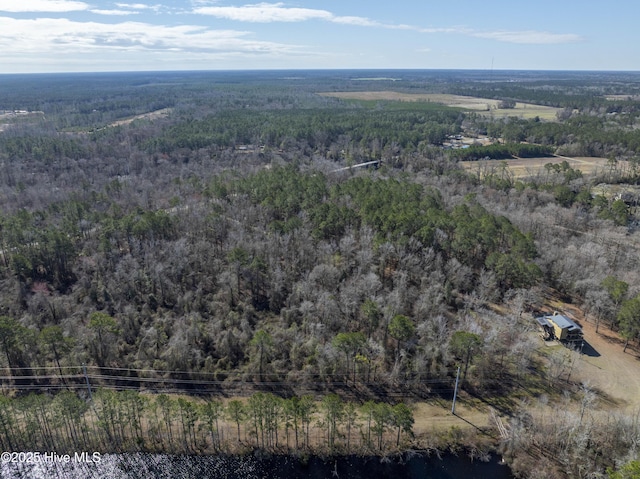 bird's eye view with a view of trees