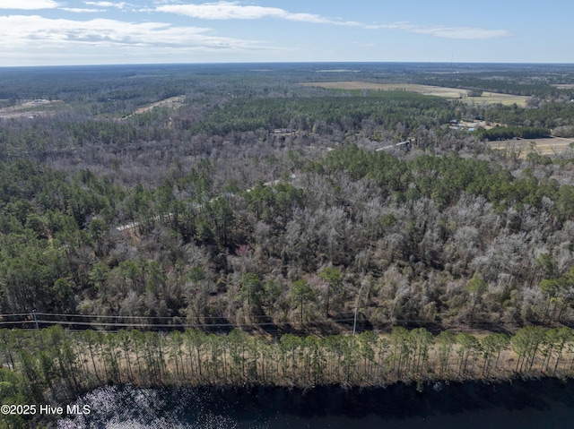 birds eye view of property with a view of trees and a water view