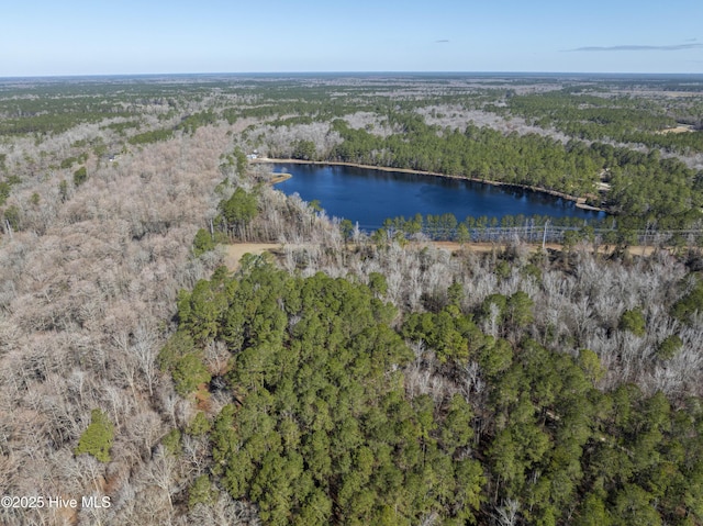 bird's eye view featuring a forest view and a water view