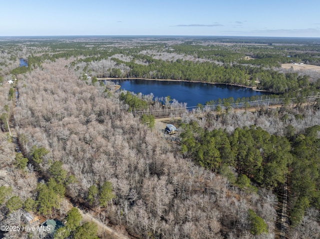 aerial view featuring a water view and a wooded view