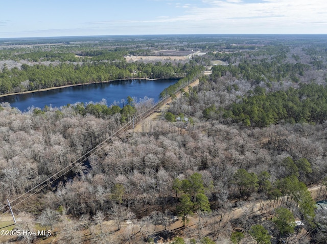 birds eye view of property featuring a view of trees and a water view