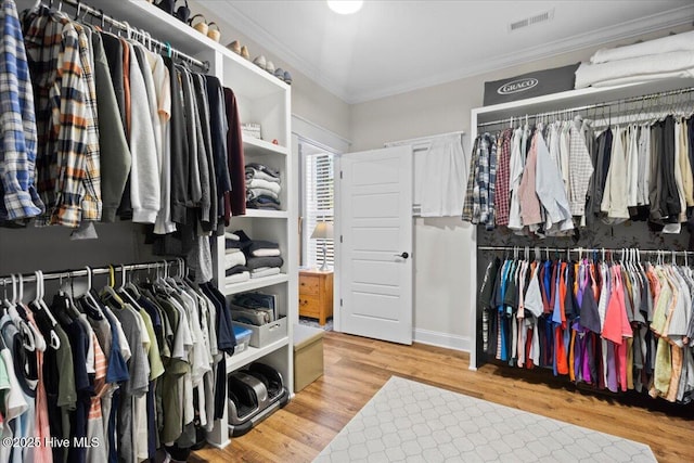 walk in closet featuring wood finished floors and visible vents