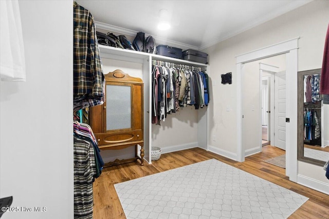 spacious closet with wood finished floors