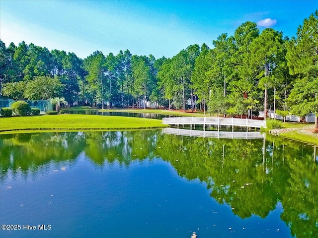 property view of water