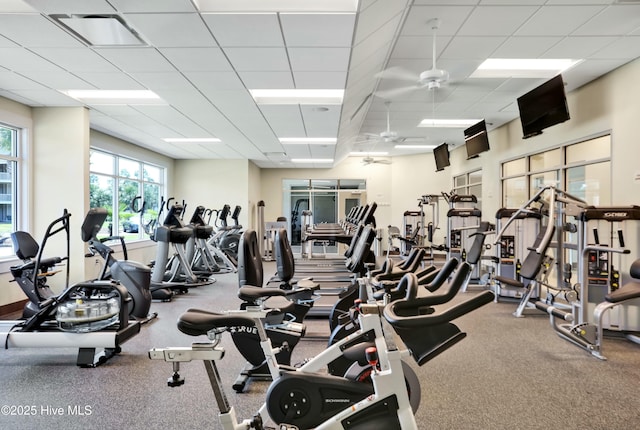 exercise room featuring a drop ceiling, visible vents, and ceiling fan