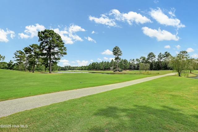 view of property's community with a yard