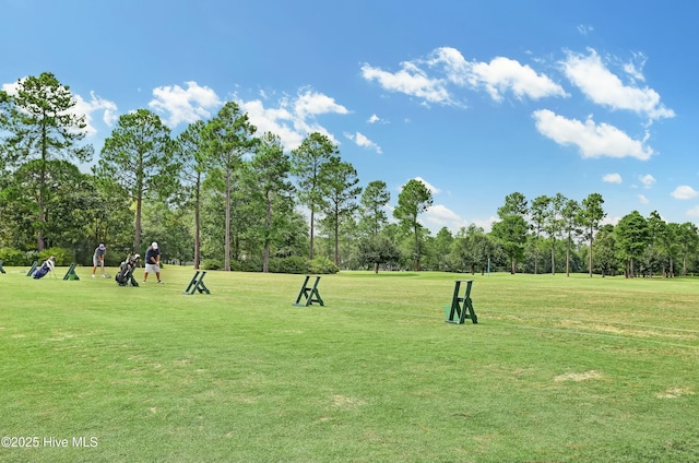 view of community featuring a yard