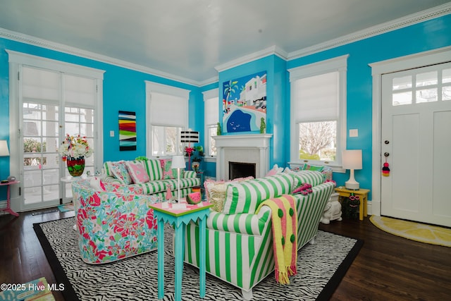 living room with a fireplace, wood finished floors, and ornamental molding