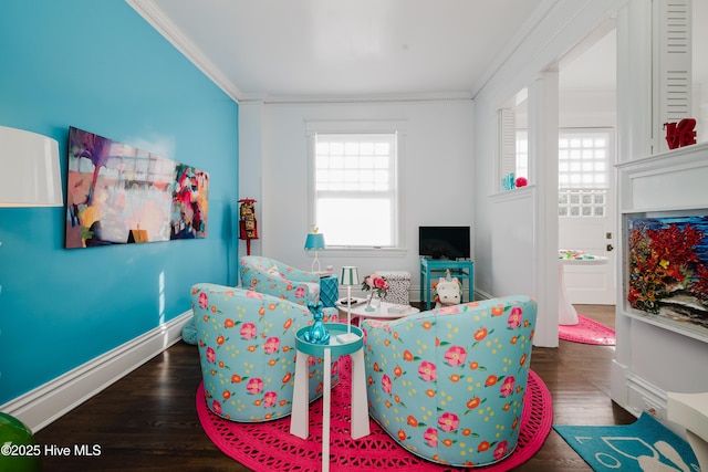 interior space featuring a wealth of natural light, wood finished floors, and ornamental molding