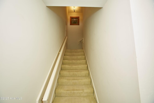 stairway with baseboards and carpet