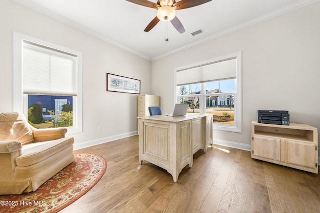 home office with baseboards, visible vents, light wood finished floors, ceiling fan, and crown molding