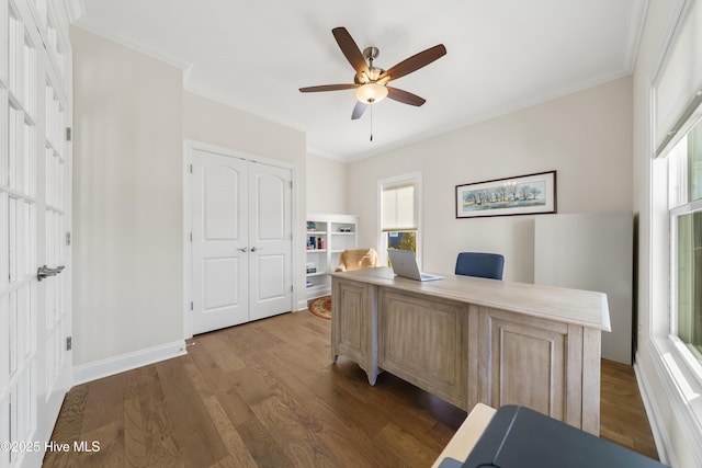 office featuring dark wood finished floors, baseboards, crown molding, and a ceiling fan