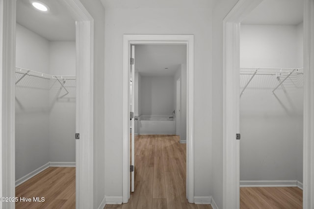 walk in closet with light wood-type flooring