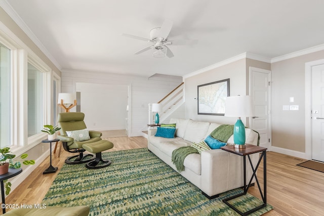 living room with stairs, a ceiling fan, light wood-type flooring, and ornamental molding