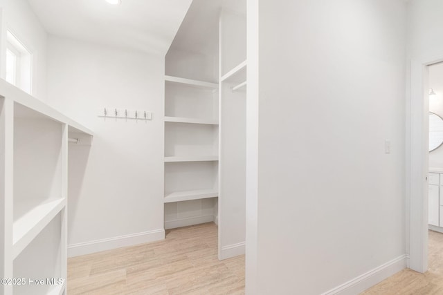 spacious closet featuring light wood-style floors