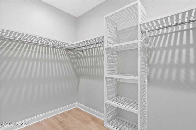 walk in closet with wood finished floors