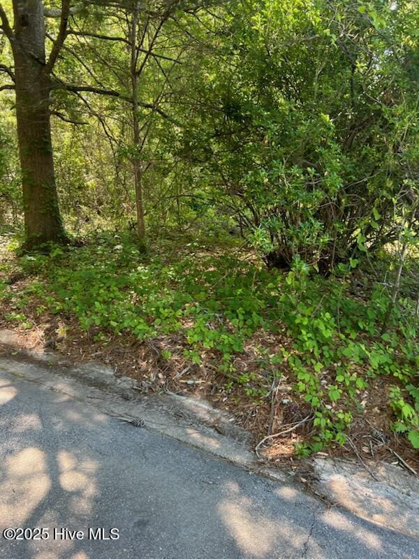 0 William St, Princeville NC, 27886 land for sale