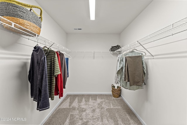 spacious closet featuring visible vents and carpet floors