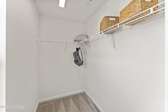 walk in closet with visible vents and carpet