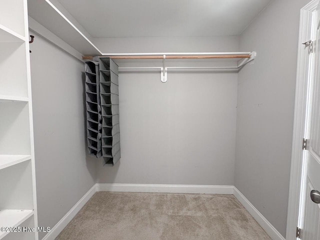 spacious closet with carpet