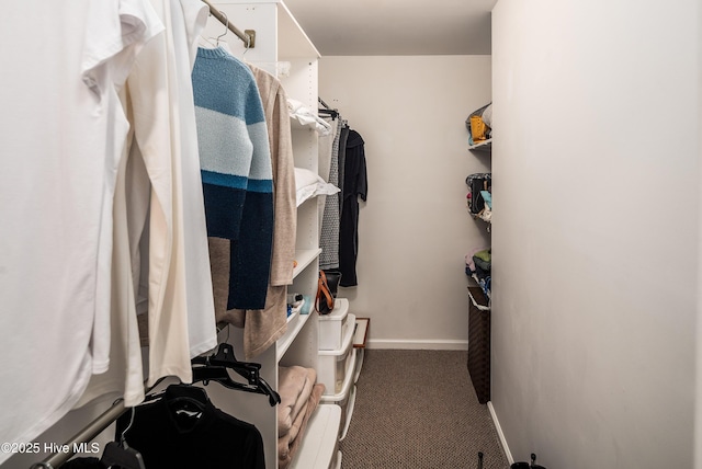 walk in closet featuring carpet flooring