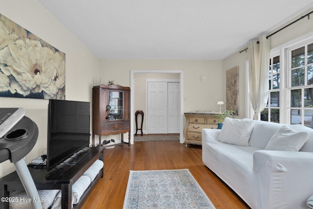 living room featuring wood finished floors