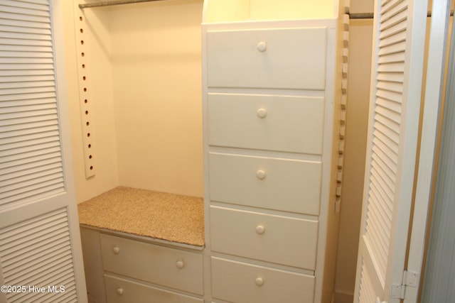 view of closet