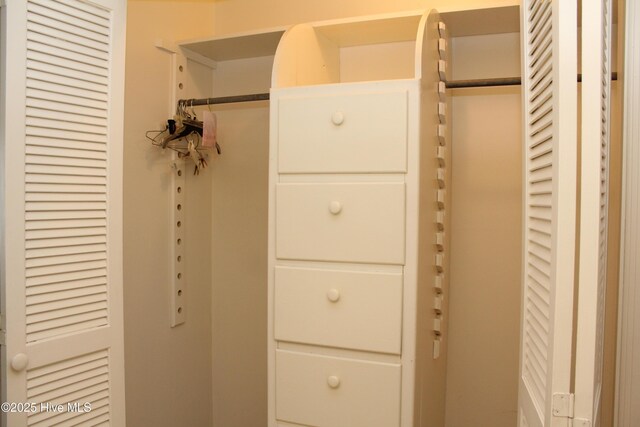 view of closet