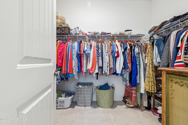 walk in closet featuring carpet flooring