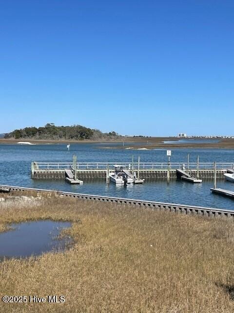 dock area with a water view