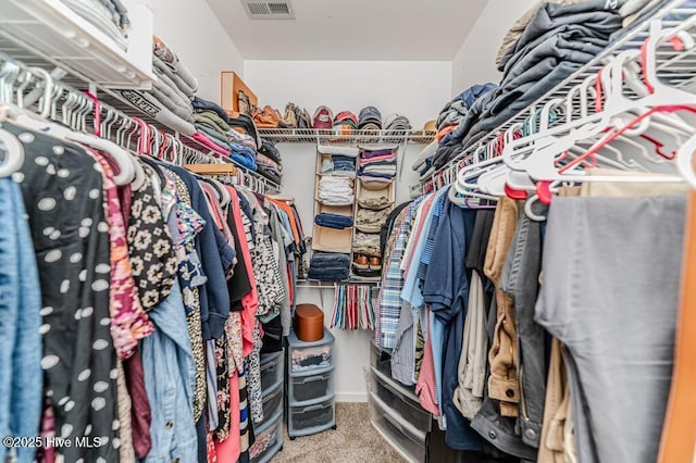 spacious closet with visible vents and carpet floors