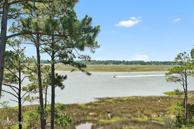 property view of water