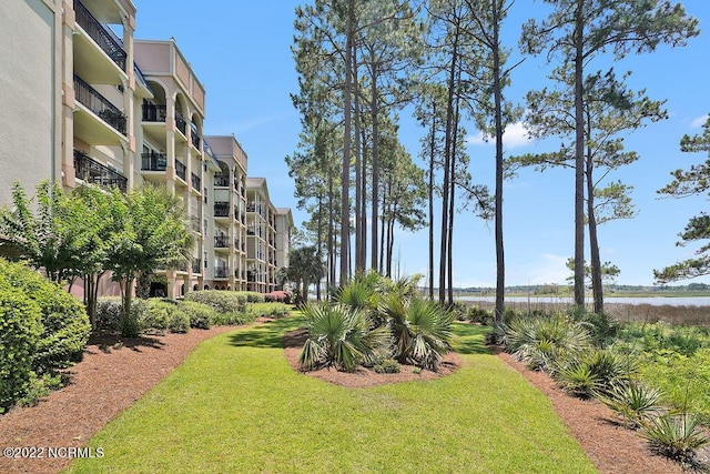 view of property's community with a yard