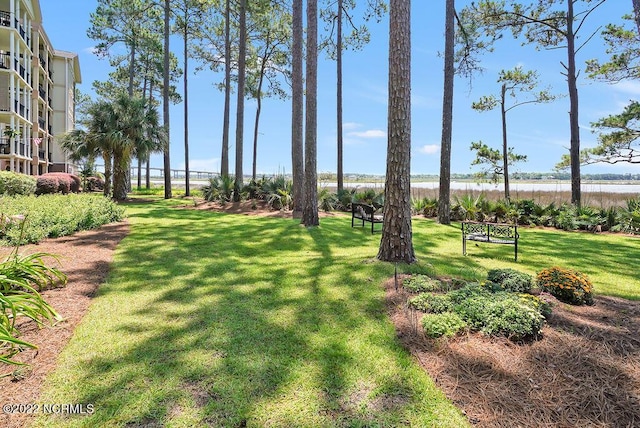 exterior space featuring a yard