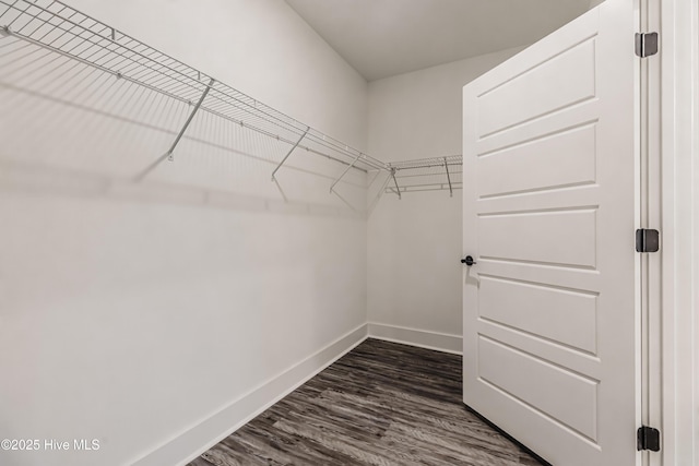 walk in closet with dark wood-type flooring