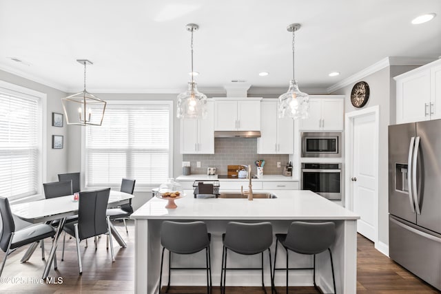 kitchen with under cabinet range hood, appliances with stainless steel finishes, a healthy amount of sunlight, and light countertops