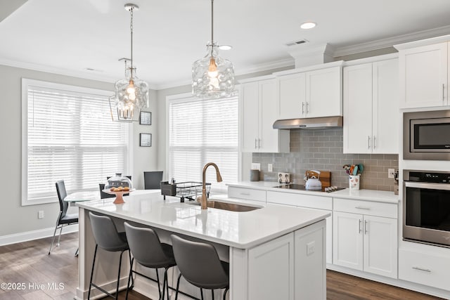 kitchen with a sink, appliances with stainless steel finishes, ornamental molding, and under cabinet range hood